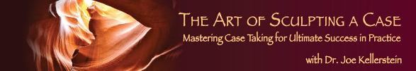 The art of sculpting a case banner
